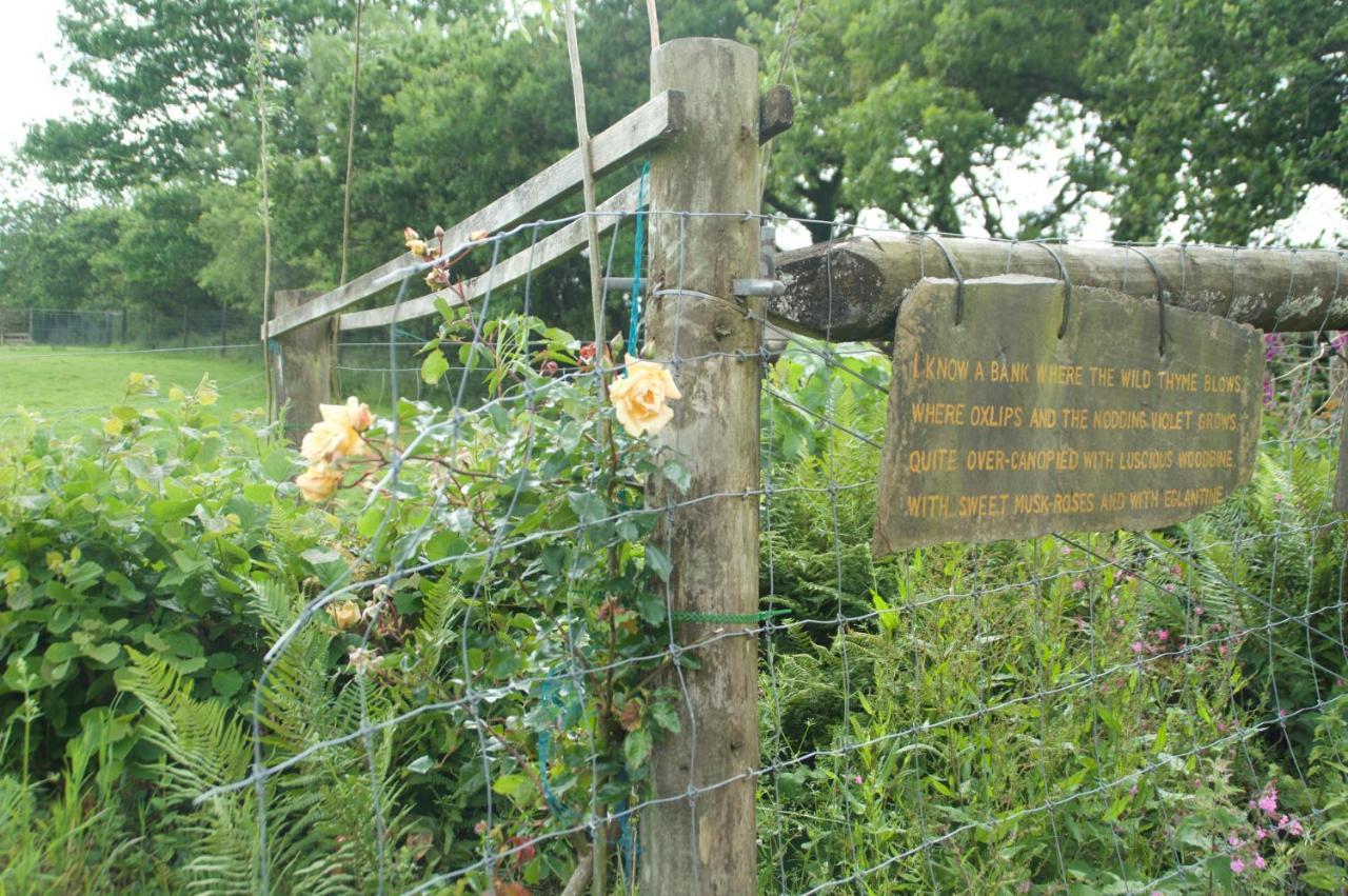 The Old Deer House Bed & Breakfast Бодмин Екстериор снимка
